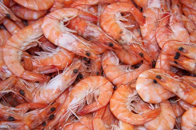 Fresh Prawns